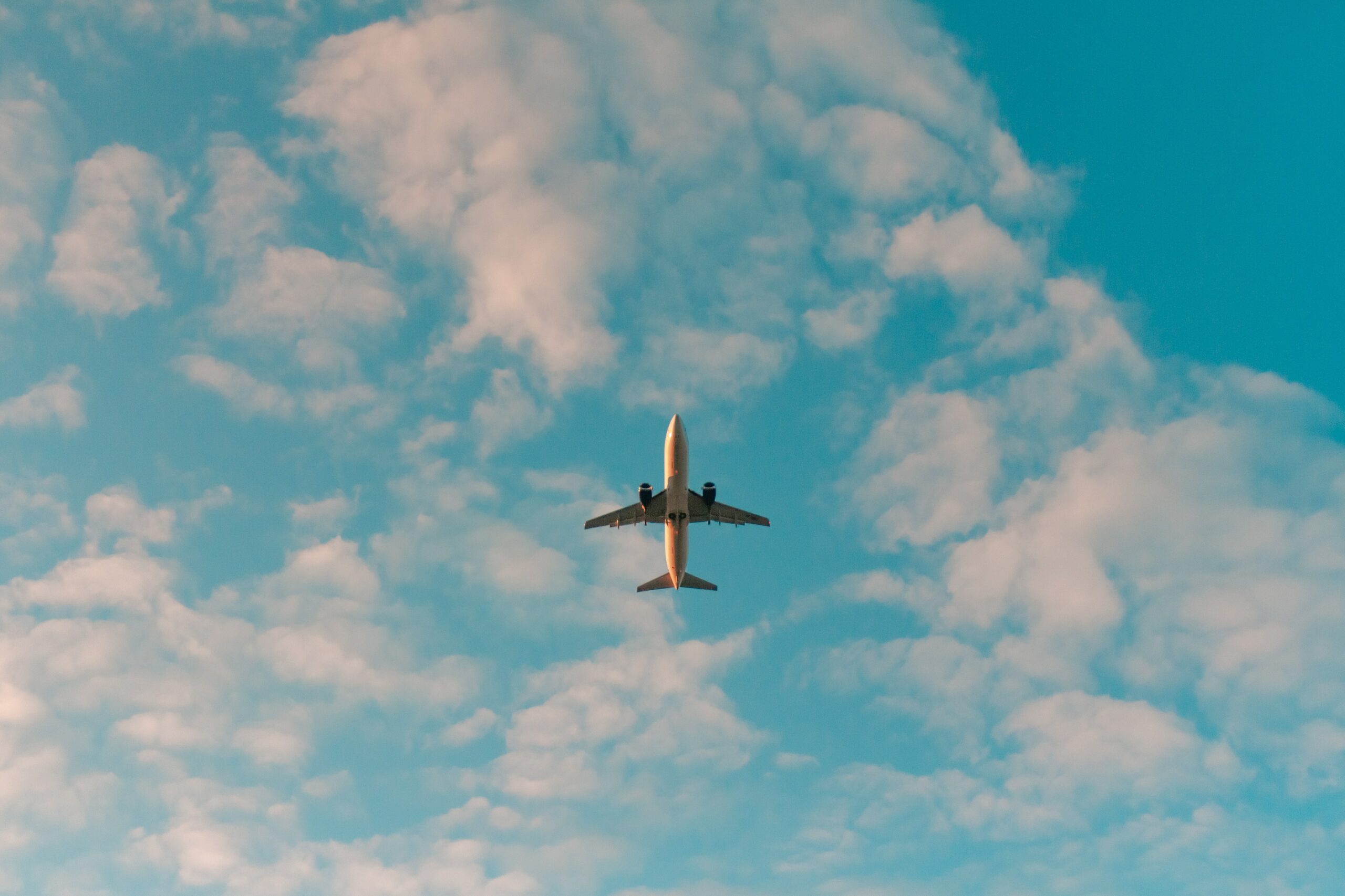 Wie die starke Nachfrage nach Urlaubsreisen, auch die Metasearch Engines wieder boomen lässt. Ein Überblick für die Travel-Branche.